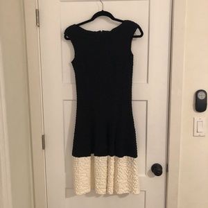 Talbot Runhof Black and White Dress